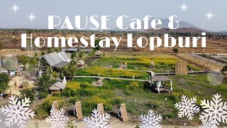 PAUSE Cafe amp Homestay Lopburi [upl. by Lupiv731]