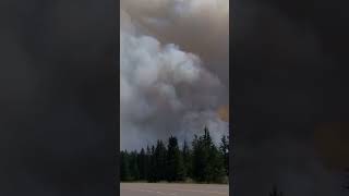 Jasper wildfire communitys worst nightmare mayor says [upl. by Goddord]