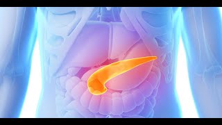 Patologie del Pancreas e Malnutrizione  Ruolo degli enzimi pancreatici sostitutivi ad alto dosaggio [upl. by Obelia213]