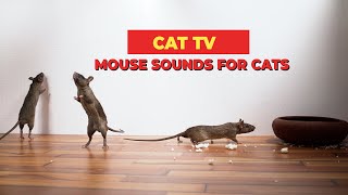 Mouse Sounds Compilation for Cats🐀 CAT TV 🐈 Mouse Sounds to Attract Cats 3 Hours [upl. by Llesram]