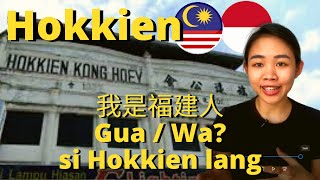 Malaysia Hokkien vs Indonesia Hokkien [upl. by Mills260]