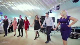 LIVE BOTEZ 2018 Olguta Berbec Remus Novac si formatia Banat Express [upl. by Jeroma]