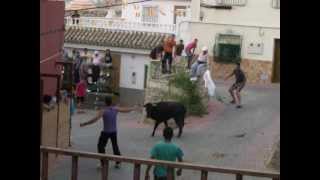 VALENTIN fiestas 20120626 Vaquillas Cogida a un mozo [upl. by Husha]