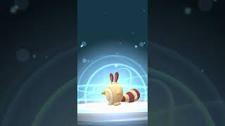 Evolving SHINY ✨ Sentret to Furret  Pokémon GO Shiny Evolution [upl. by Adoh]