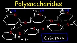 Polysaccharides  Starch Amylose Amylopectin Glycogen amp Cellulose  Carbohydrates [upl. by Aniham769]