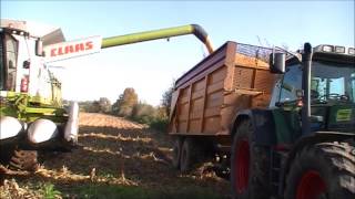 Loonbedrijf Van haeren Wehl Claas Lexion 760 [upl. by Llarret45]