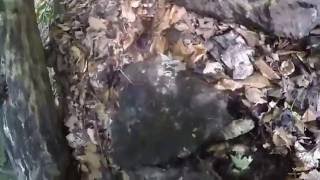 Rock Hounding for Crystals at Schickler MIne near Bancroft Ontario [upl. by Hermie329]