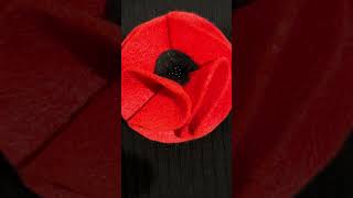 Remembrance Day 2024 Lest We Forget shorts poppy poppies greatwar november11th [upl. by Anilocin579]