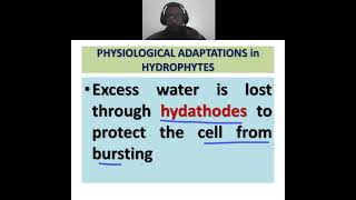 Physiological adaptations in hydrophytes [upl. by Leblanc964]