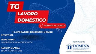 Tg Lavoro Domestico  i lavoratori domestici uomini [upl. by Ellerad]