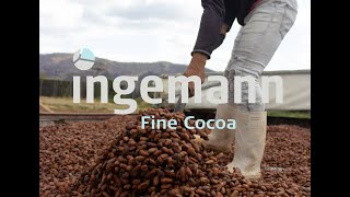 Sustainable farmers  The Cacao Industry  Bean to Bar From Nicaragua to Gaspésie PART 1 [upl. by Treve493]