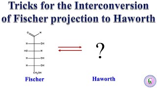 Tricks for the interconversion of Fischer projection to Haworth projection [upl. by Enrobso]