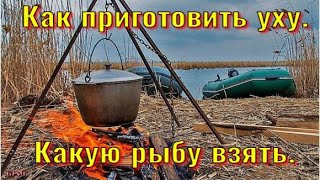 Как приготовить уху Какую рыбу взять [upl. by Wandy]