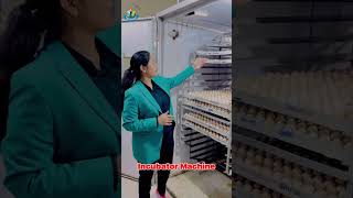 Incubator Machine incubatormachine animalattendant royalinstituteofcompetition youtubeshorts [upl. by Simmie]