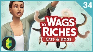 Wags to Riches  Part 34 Sims 4 Cats amp Dogs [upl. by Enerol]