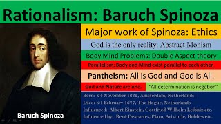 Spinoza  Monism  Panthesim  Parallelism  Double Aspect Theory  Philosophy Simplified [upl. by Cairistiona156]