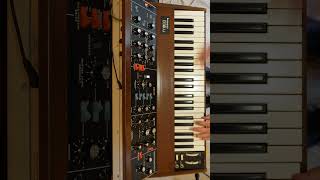 Impressioni di Settembre on Minimoog  A PFM Classic Revisited [upl. by Ghassan]