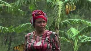 Aleta Baun 2013 Goldman Environmental Prize Winner Indonesia [upl. by Natala899]