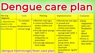 Dengue Nursing care plan on Dengue Fever  dengue care plan  dengue fever  dengue hemorrhagic [upl. by Aziza]