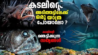 Journey to the Mariana Trench  മരിയാന ട്രെഞ്ചിലേക്ക് ഒരു യാത്ര പോകാം [upl. by Jarus]