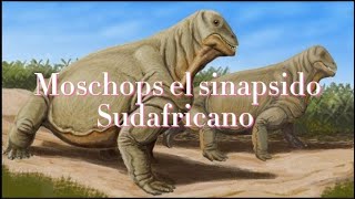 Moschops el sinapsidos Sudáfricano [upl. by Ardith]