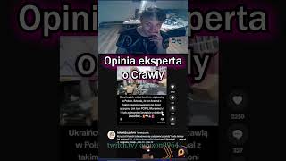 Opinia eksperta o Crawly kubixon9964 na Twitchtv [upl. by Brina]