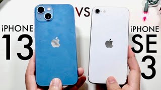 iPhone SE 3 Vs iPhone 13 Quick Comparison [upl. by Ydissac]