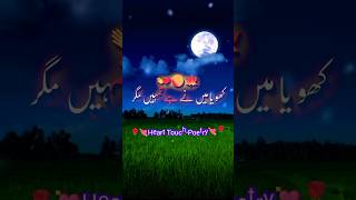 Koya Me Ne Tumey Love Poetry 💞 Shorts youtubeshorts Viral poetry [upl. by Eiuqnom]