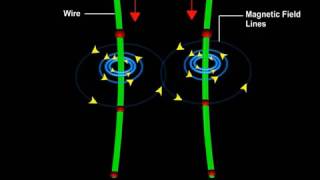 a Derive the expression for the force acting between two long parallel current carrying conduc [upl. by Ronoh]