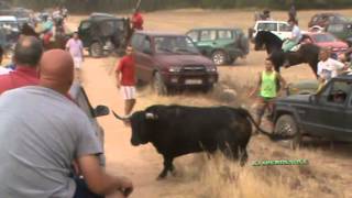 SUSTO ENCIERRO POR EL CAMPO DE LORANCA DE TAJUÑA NADA MAS SALIR [upl. by Jezabel281]