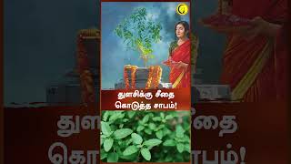 துளசிக்கு சீதை கொடுத்த சாபம்  Magesh Iyer  shorts  Guru [upl. by Osher]