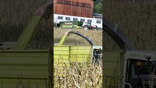 maisernte am Hang mit steyr krone fendt fliegl göweil valtra claas liebherr maiz harvest [upl. by Carpet]