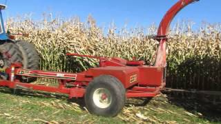 Ford 8730 harvest corn [upl. by Thanasi895]