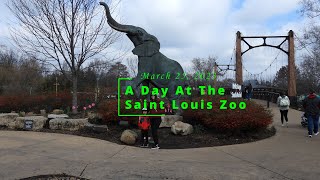 A Day At The Saint Louis Zoo [upl. by Starla]