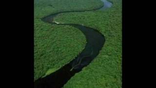 Nabau  Mythical Monster of Borneo In HD [upl. by Ninerb]