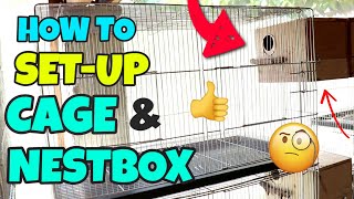 HOW TO SET UP CAGE amp NESTBOX PROPERLY FOR YOUR LOVEBIRDS  Breeding Cage Setup for Lovebirds [upl. by Annissa]