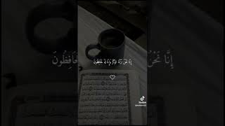 Tilawaty Quran e Magid♥️ viralvideo youtubeshorts [upl. by Oniratac]