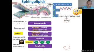 Lipid 22 Sphingolipids glycolipids [upl. by Ayoj]