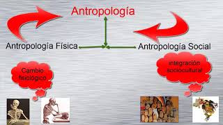 ¿Que es la Antropología ¿ Cual es su objeto de estudio ¿ Cuales son sus ramas auxiliares [upl. by Arym33]