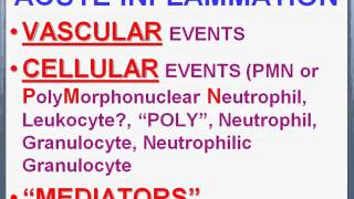 Acute And Chronic inflammation [upl. by Nahgam]