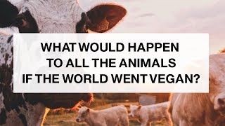 If the World Went Vegan What Would Happen to the Animals [upl. by Ilrac664]