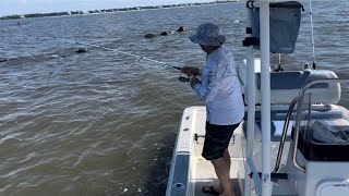 Speckled Trout Spawning Mississippi Sound [upl. by Hafinah87]