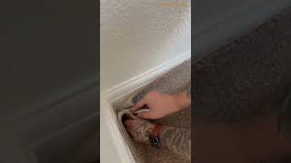 How to Cut a Carpet Without Fraying It Easy DIY Carpet Cutting  interiodesigning homedecor [upl. by Ierdna]