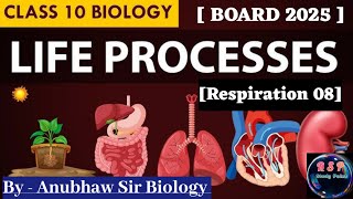 Breathing and Respiration ll Human Respiratory System ll Life Processes ll class10th biology [upl. by Uriah]