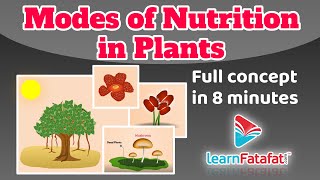 Class 7 Science Chapter 1 Nutrition in plants  Modes of nutrition in plants  CBSE  Learnfatafat [upl. by Maitland428]