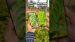 Vivo Y200 vs Motorola Edge 50 Fusion Camera Test vivoy200 edge50fusion trending shotrs [upl. by Jacob]