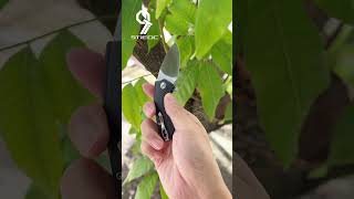 Mini folding knife stainless steel blade G10 handle small and easy to carry [upl. by Aguie]