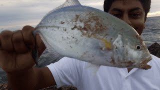 Mauritius Fishing 2016  Mastermind Fishing Club part 1 [upl. by Polloch373]