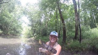 Jay catches BIG Diamondback and gets BIT  Diamondback Watersnake [upl. by Felice658]