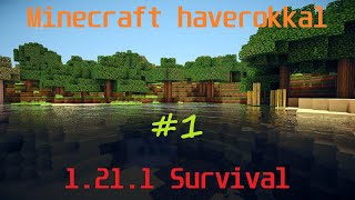 Minecraft Survival haverokkal 1211 1 [upl. by Eidac]